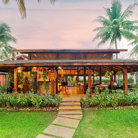 Tropicana Resort & Spa Alibaug Alībāg Exterior foto